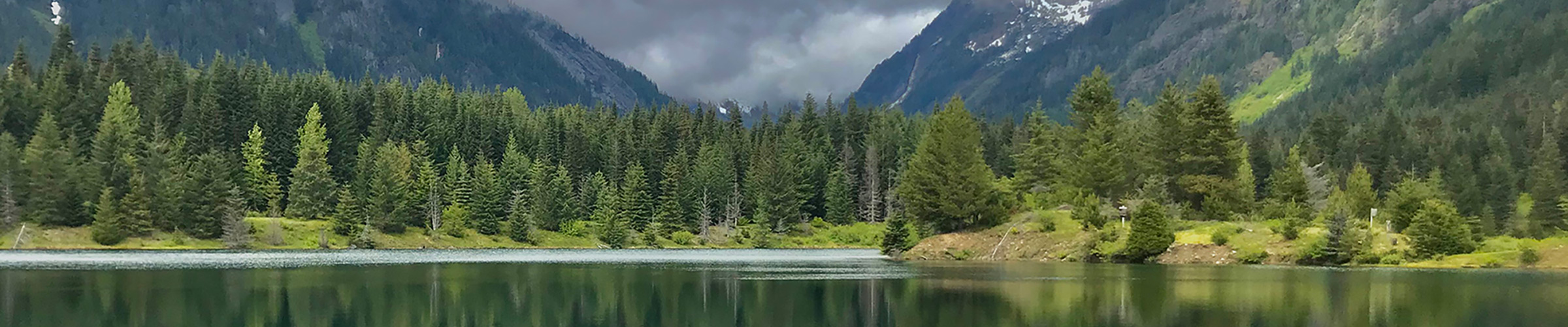Trees, Lake, Sky
